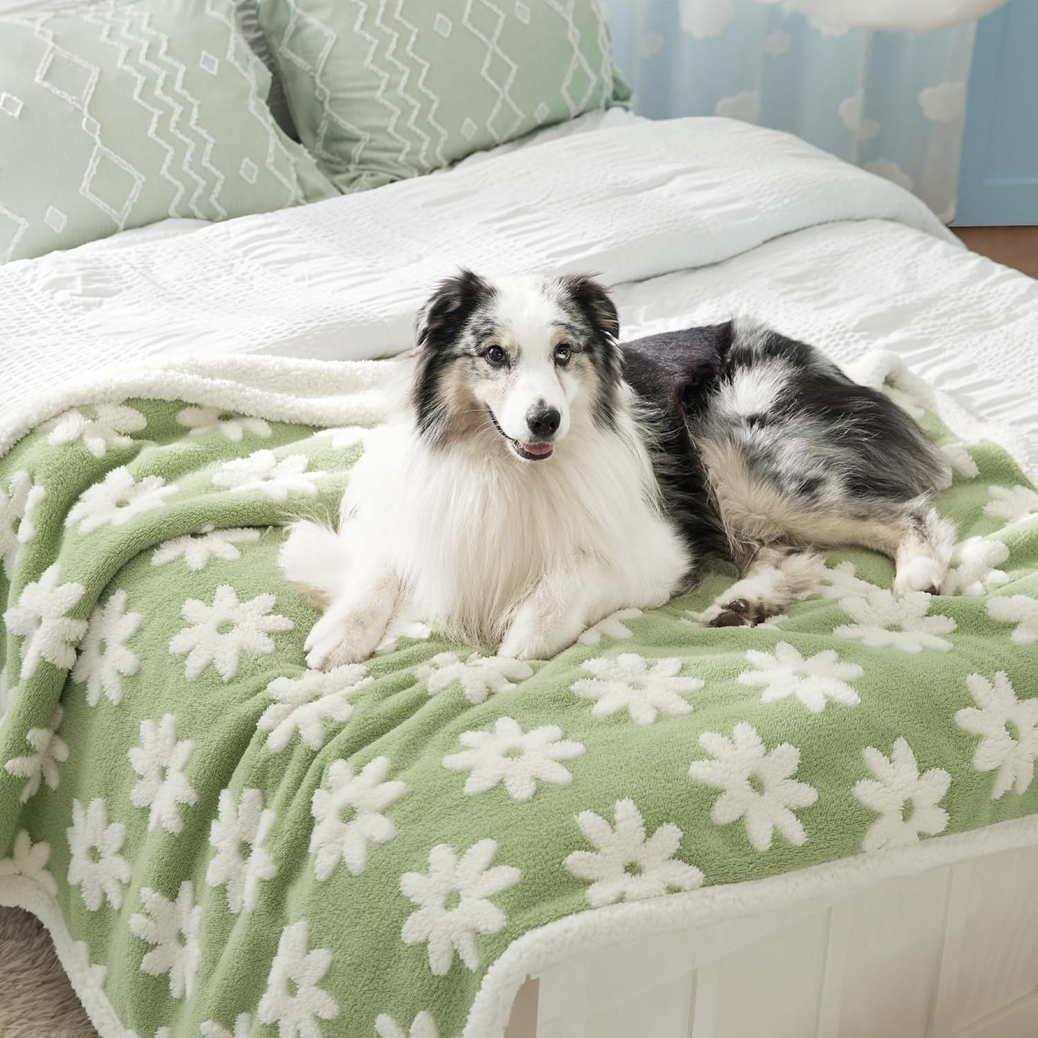 Lesure Waterproof Dog Blanket for Large Dogs - Cozy & Stylish