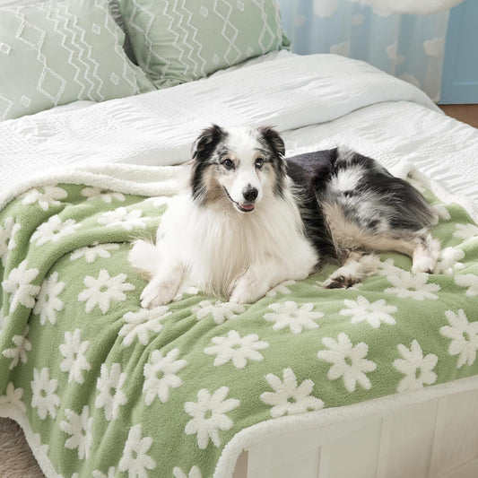 Lesure Waterproof Dog Blanket for Large Dogs - Cozy & Stylish