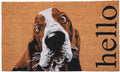 Calloway Mills Basset Hound Doormat for All-Season Use