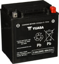 Yuasa YIX30L Factory Activated AGM Battery - Cold-Start Power