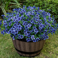 Lnoicy 20 Bundles Artificial Flowers for Outdoor Decoration