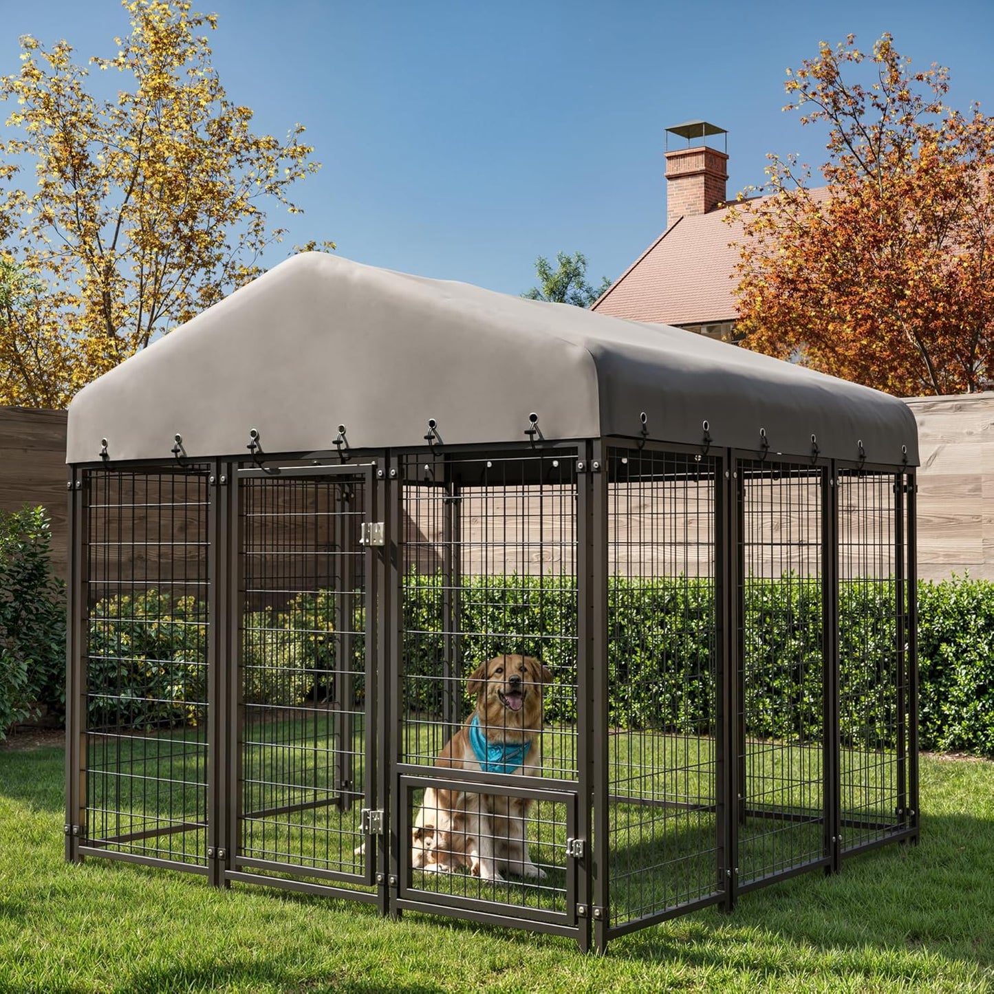 6X6FT Heavy Duty Outdoor Dog Kennel with Double Lock Security