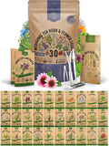 Medicinal Tea Herb & Flower Seeds Variety Pack - 30 Heirloom Types