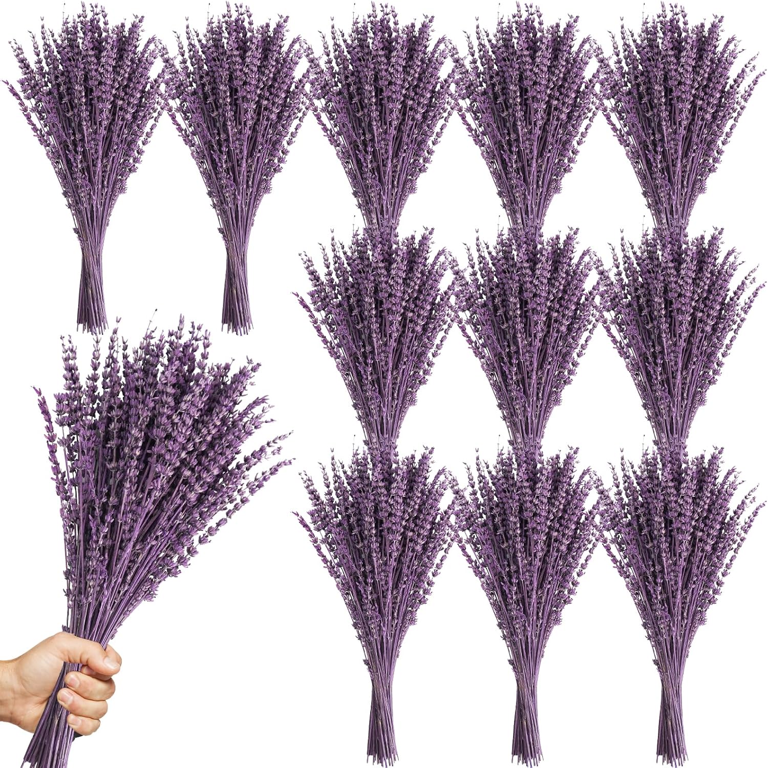 Dried Lavender Flowers Bundles for Home Fragrance and Decor