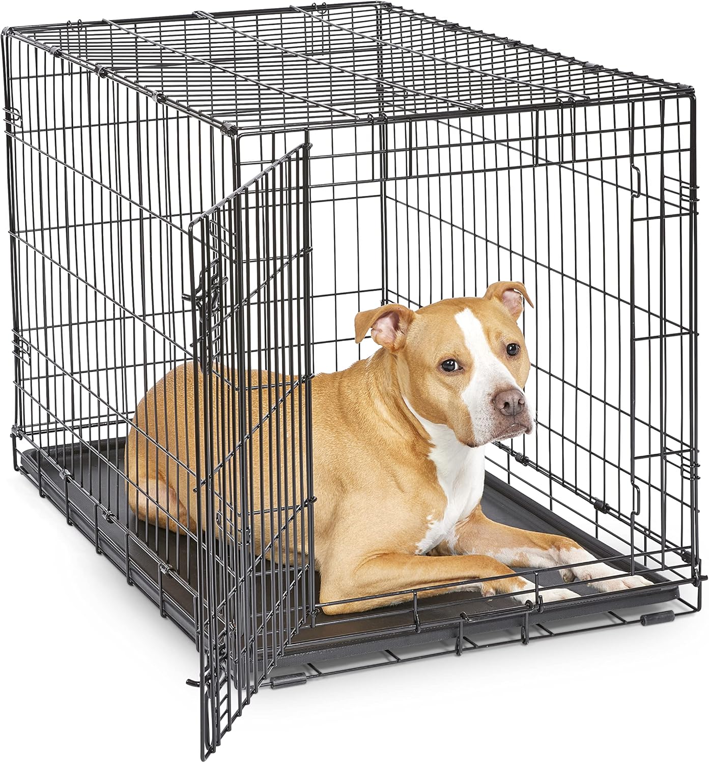 New World 36-Inch Dog Crate with Enhanced Security Features