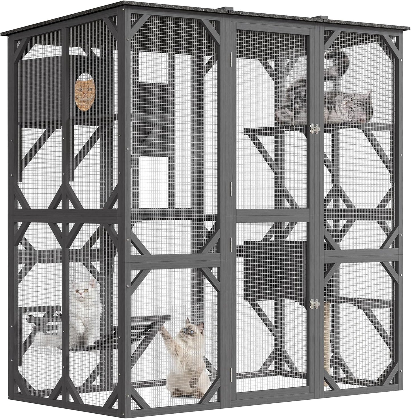 70in Walk-in Catio with Window Access for Multiple Cats