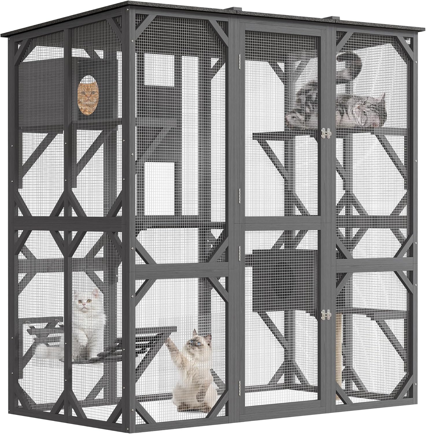 70in Walk-in Catio with Window Access for Multiple Cats