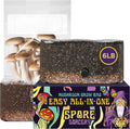 6 LB All-in-One Mushroom Grow Bag - High Yield Home Grow