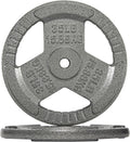 Cast Iron 1-Inch Standard Weight Plate 45 lb - Solid, Gripped Design