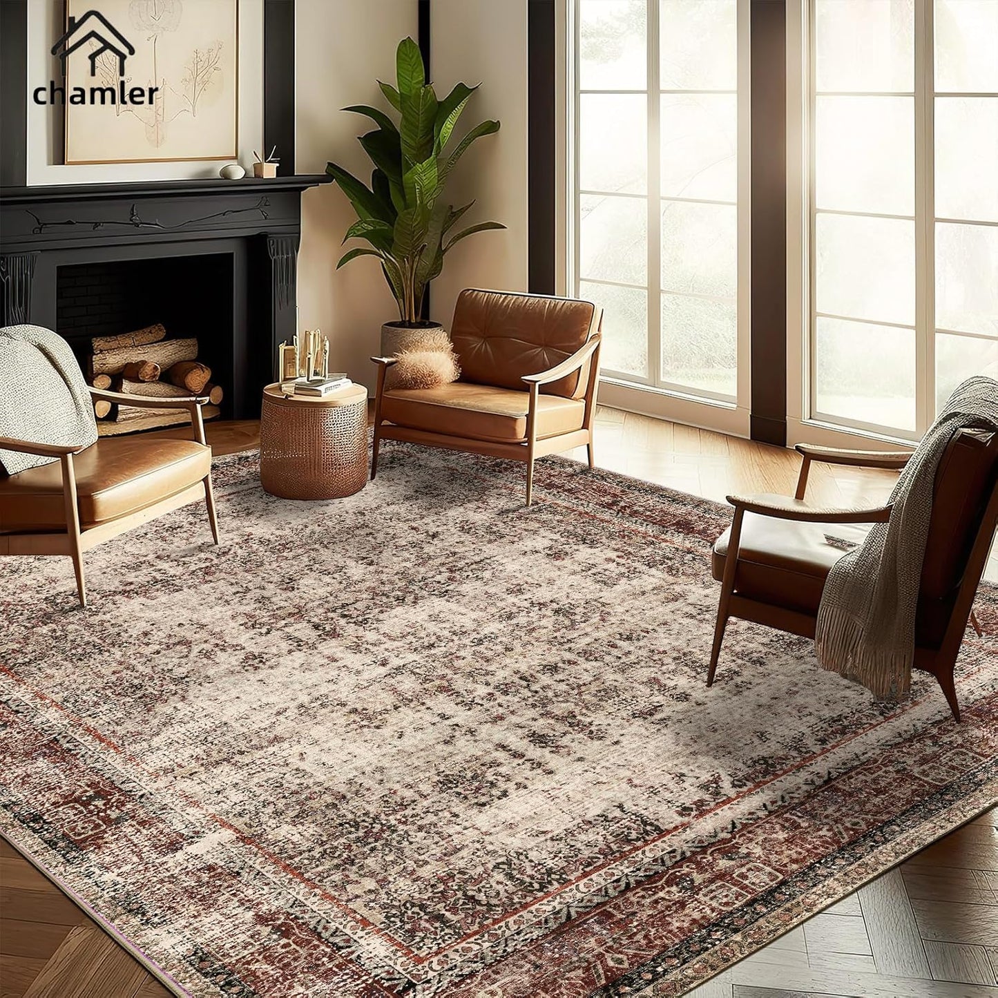 Vintage Traditional 8x10 Area Rug for Indoor Spaces
