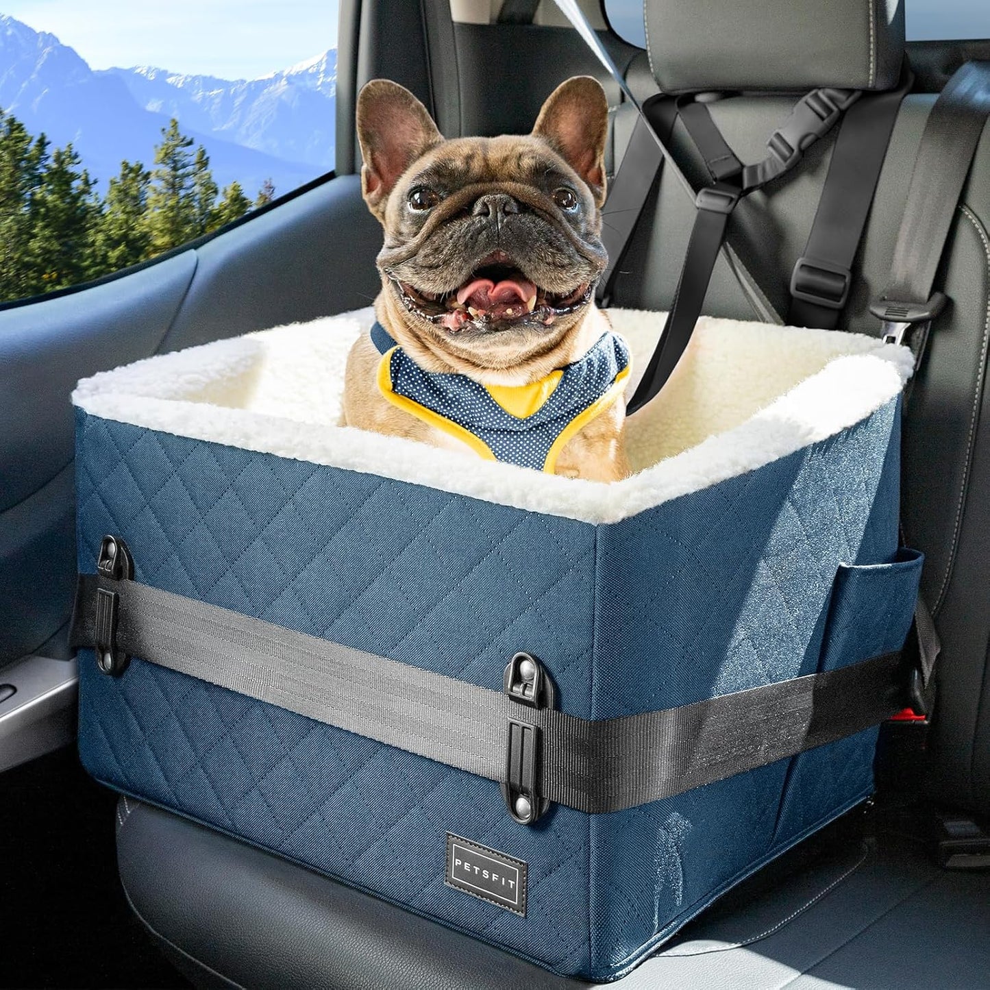 Petsfit Small Dog Car Seat: Safe, Comfortable Travel Solution for Pups under 30lbs