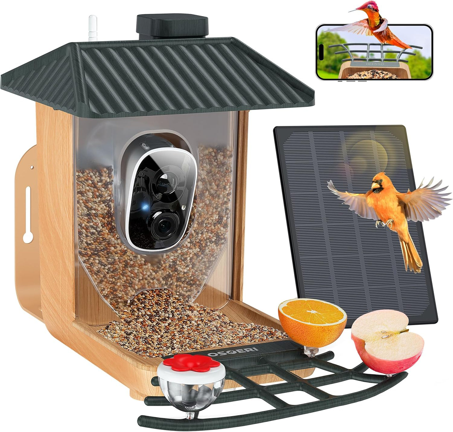 Smart Solar Bird Feeder Camera 