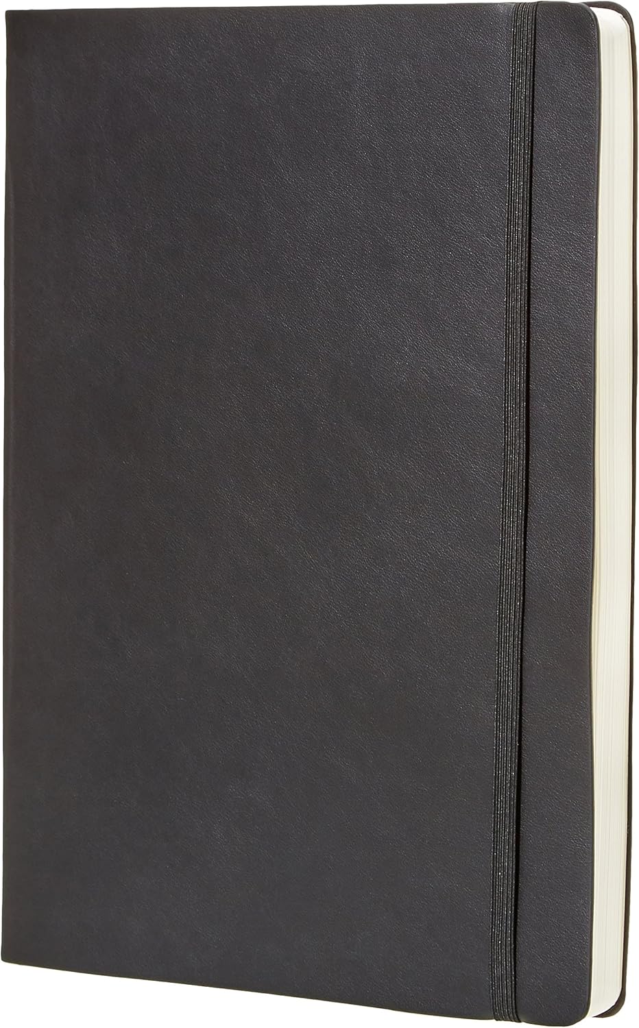 Elevate Productivity with  Basics Daily Planner!