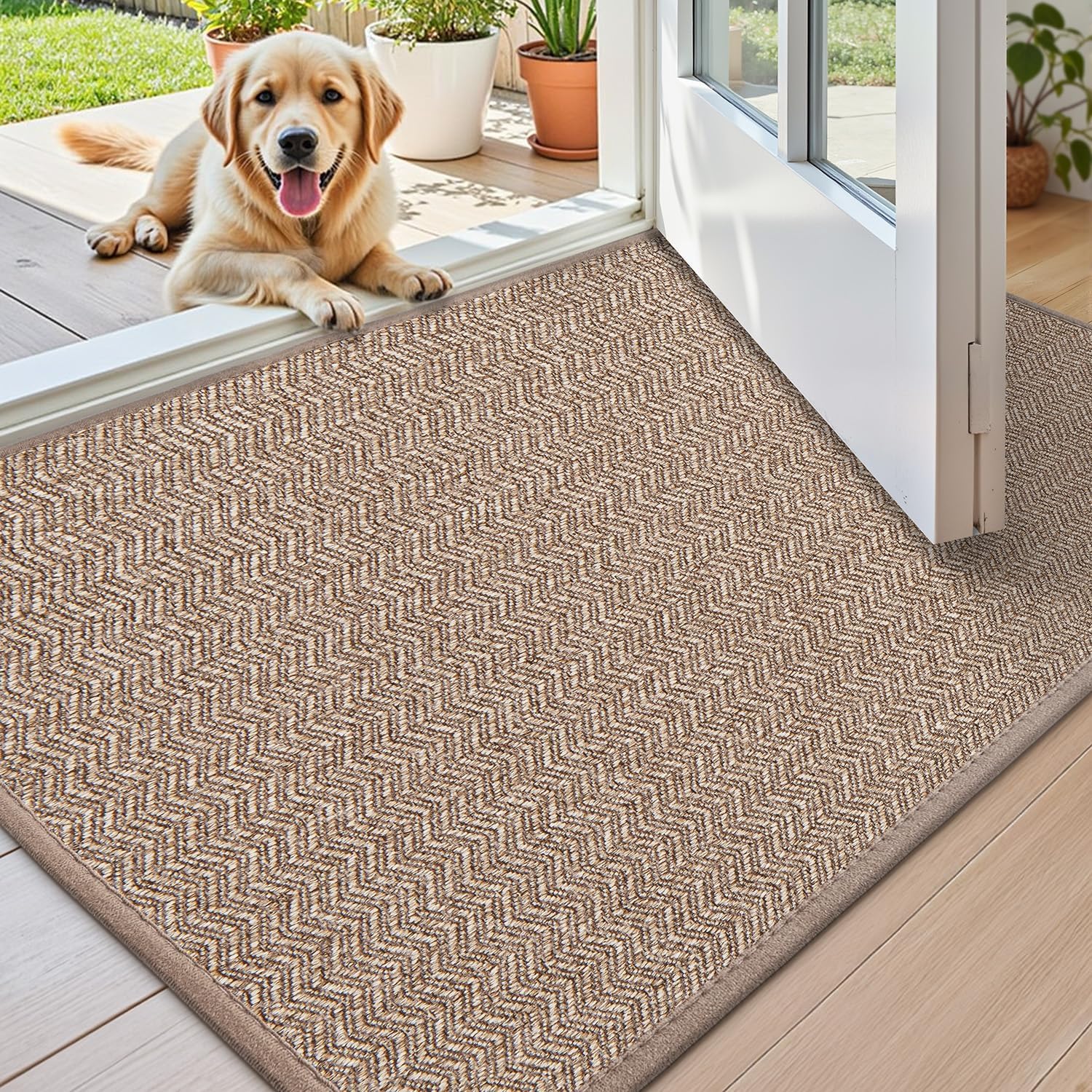Color&Geometry Thin Indoor Entrance Mats for Home, 24inX36in