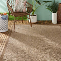 Tommy Bahama Marlin Indoor/Outdoor Area Rug for Versatile Spaces