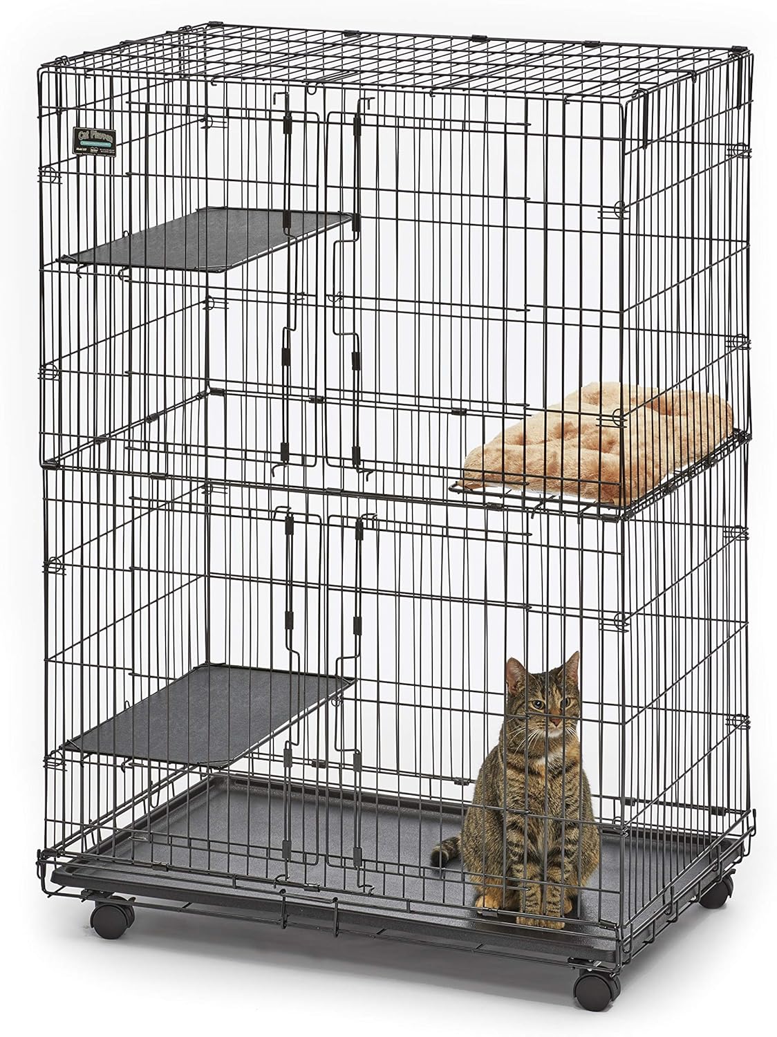MidWest Homes for Pets Folding Metal Indoor Cat Playpen for 3 Cats