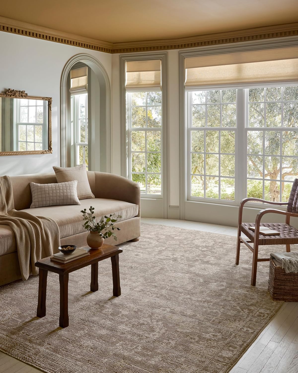 Traditional Area Rug from Magnolia Home by Joanna Gaines - Taupe/Wheat