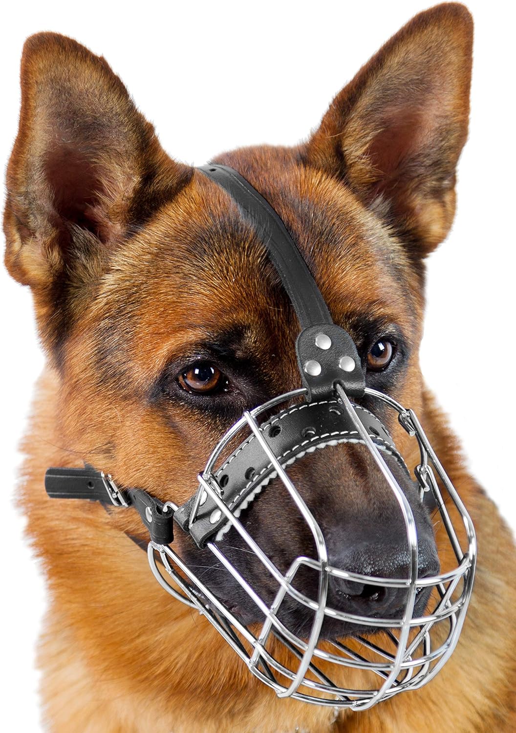 Dog Chrome Metal Muzzles with Adjustable Leather Straps for Comfort