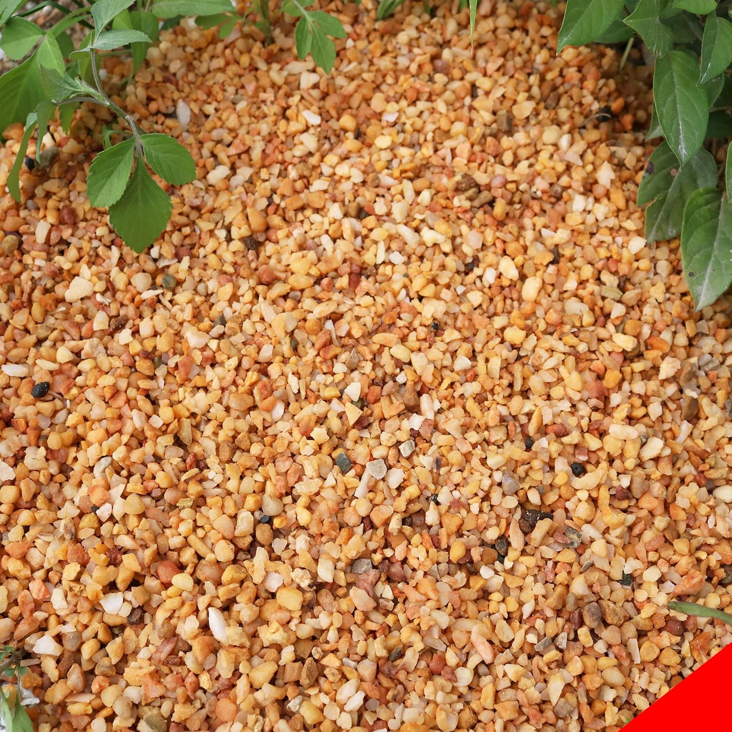 18lb Cactus Gravel Rocks for Succulents and Bonsai Decor
