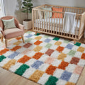 Checkered Rug 4x6 for Living Room, Modern Neutral Shag Rug