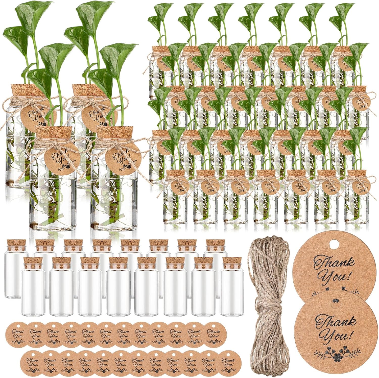 48 Pack 3.54in Plastic Plant Propagation Stations for Garden Lovers