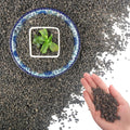 45Lb Horticultural Lava Rock for Plants - Drainage & Top Dressing
