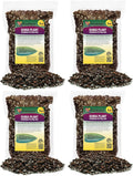 Monstera Dubia Plant Soil Mix - Optimal Drainage & Nutrients