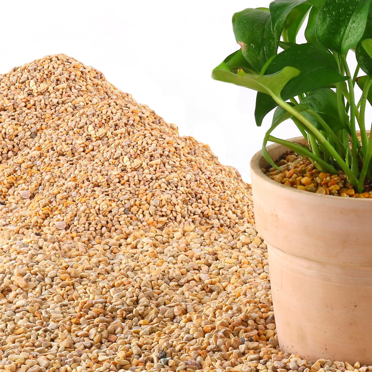 Natural Pea Gravel for Landscaping and Decorative Projects