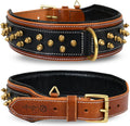 Spike Dog Collar 2ft Wide - Premium Padded Bridle Leather Spike Collar