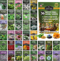 Ultimate Medicinal Herb Seeds Variety Pack - Heirloom Healing Herbs