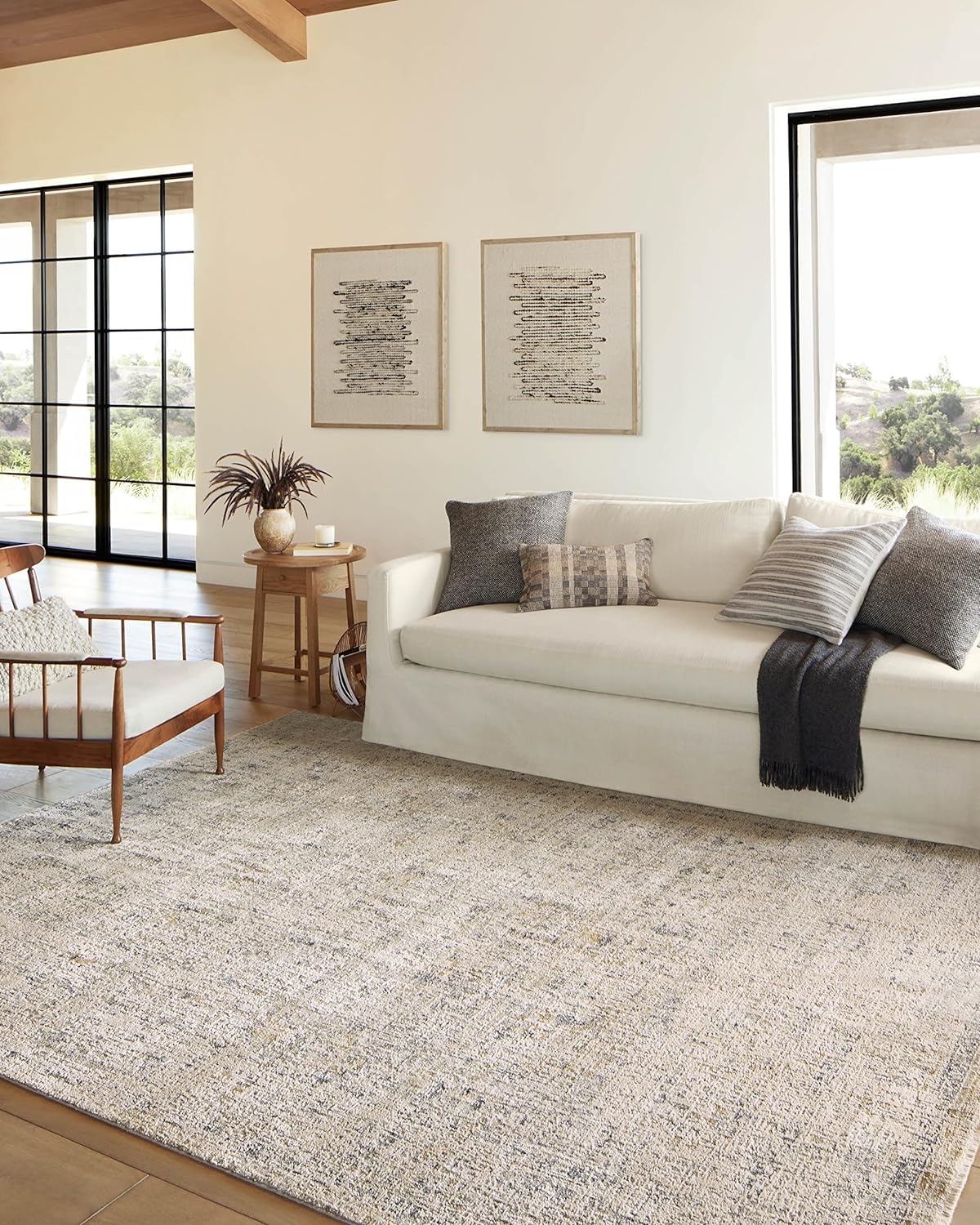 Loloi Alie Collection Area Rug for Living Room and More