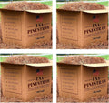 USA Pine Straw Premium Pine Needle Mulch - Covers 300 Sqft 4 Set