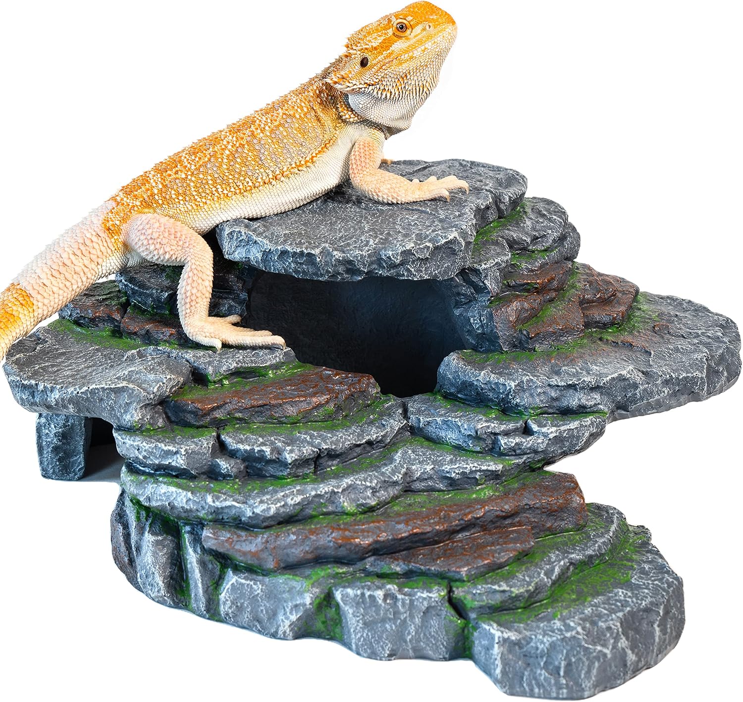 Extra Large Reptile Hide for Bearded Dragons and Small Pets