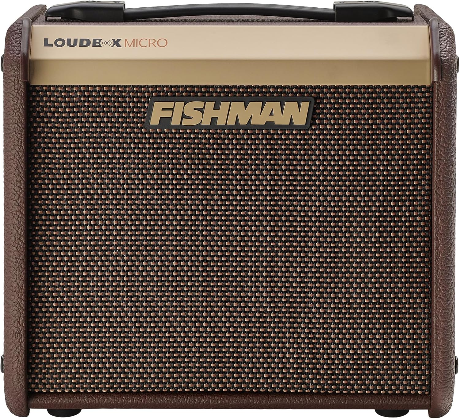 Fishman Micro Amp: Powerful 40W Acoustic Sound