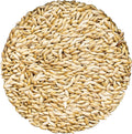 Unida Alpiste Canary Seed for Birds 10 lbs Natural Bird Food