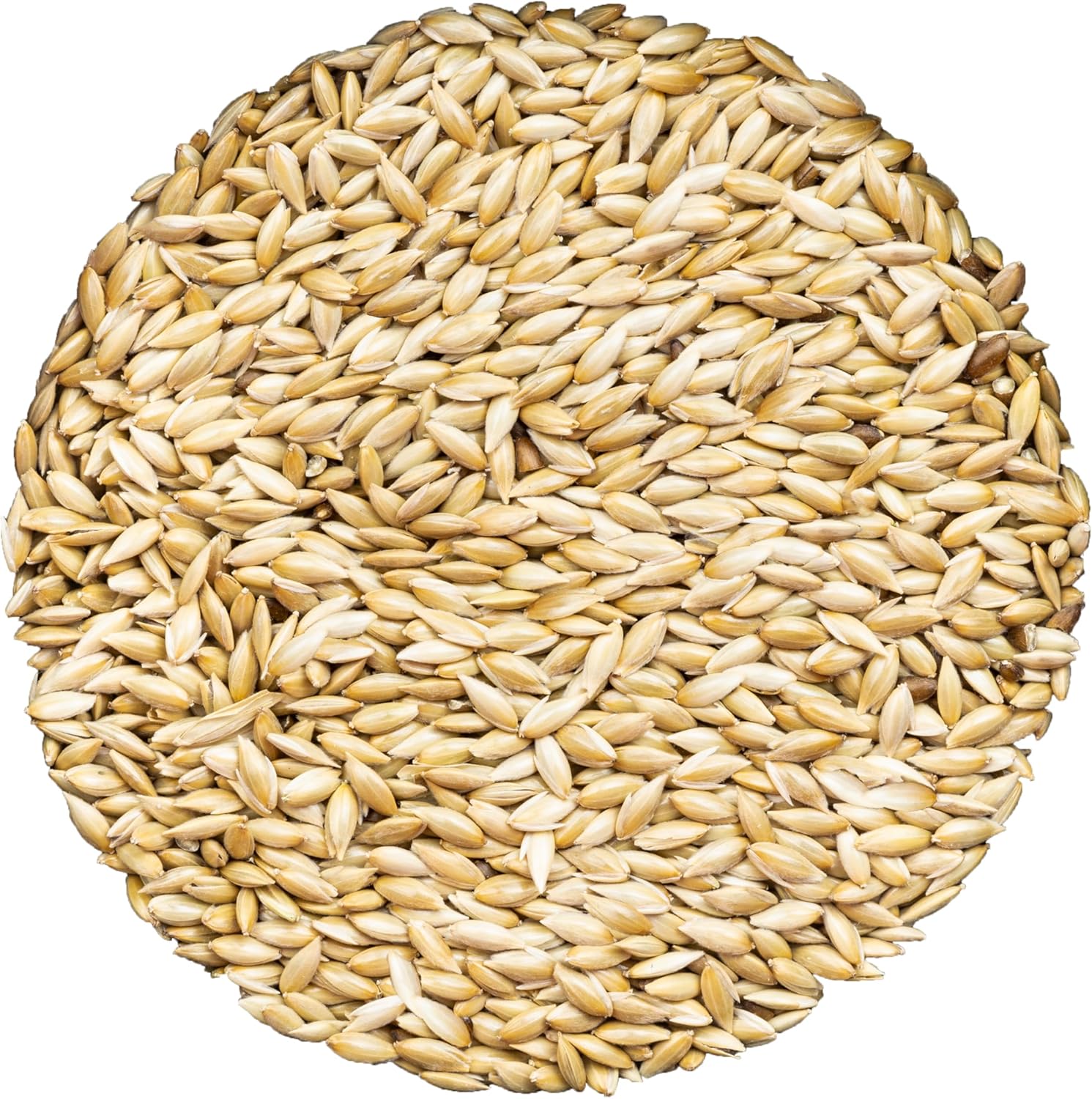 Unida Alpiste Canary Seed for Birds 10 lbs Natural Bird Food