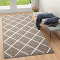 Finchitty Large Indoor Door Mat 59 x 35 in - Low-Profile Absorbent Mat