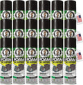 Foam Blaster AC Coil Cleaner 24-Pack - No Rinse Formula