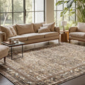 OPPODREAM Vintage Brown Area Rugs 5x7 for Any Space