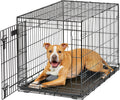 Intermediate LifeStages 36in Folding Dog Crate - Secure, Leak-Proof