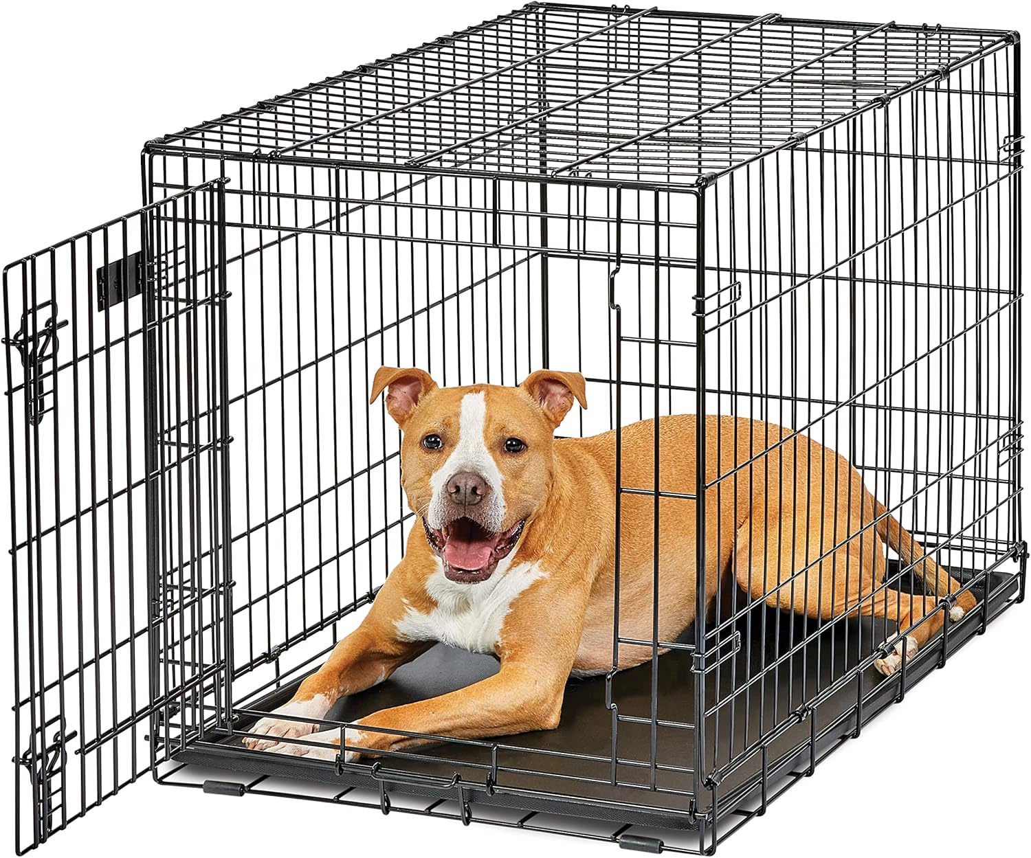 MidWest Homes for Pets 36-Inch Folding Dog Crate for Safety