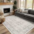 FMFUNCTEX 5x7 Washable Area Rug for Living Room and Bedroom