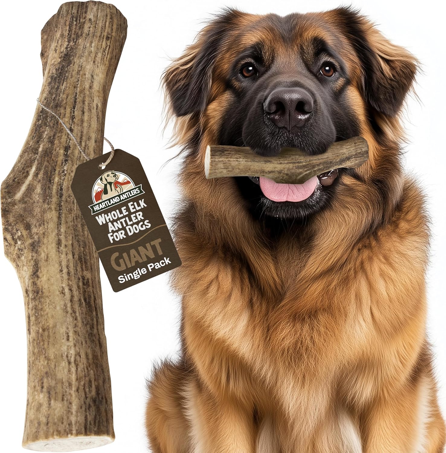Heartland Elk Antlers for Dogs - Long-Lasting Dental Chews