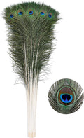 Peacock Feathers 20pcs 40-45in Bulk for Crafts - Long Natural Stems