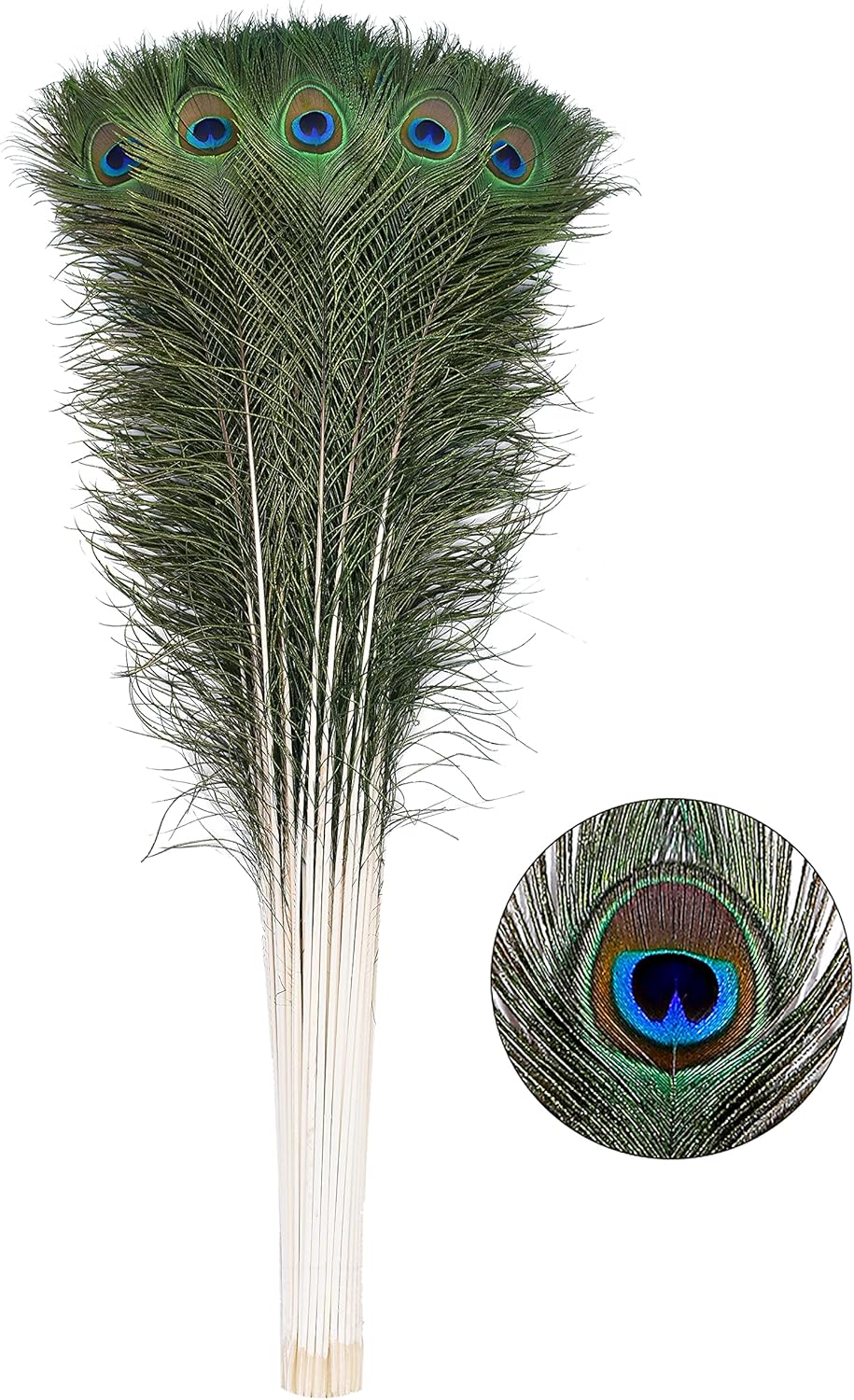 Natural Peacock Feathers for DIY Craft and Wedding Decor