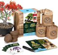 Mini Bonsai Seed Kit - Grow 4 Tree Varieties at Home