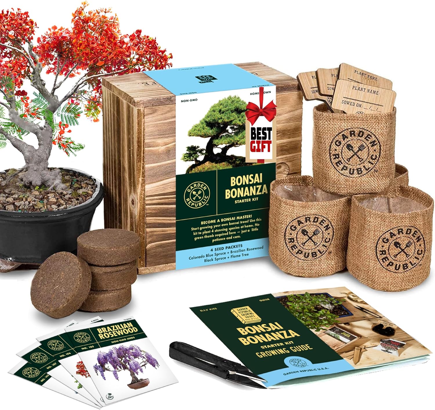 Garden Republic Bonsai Tree Kit - Grow Your Own Mini Bonsai