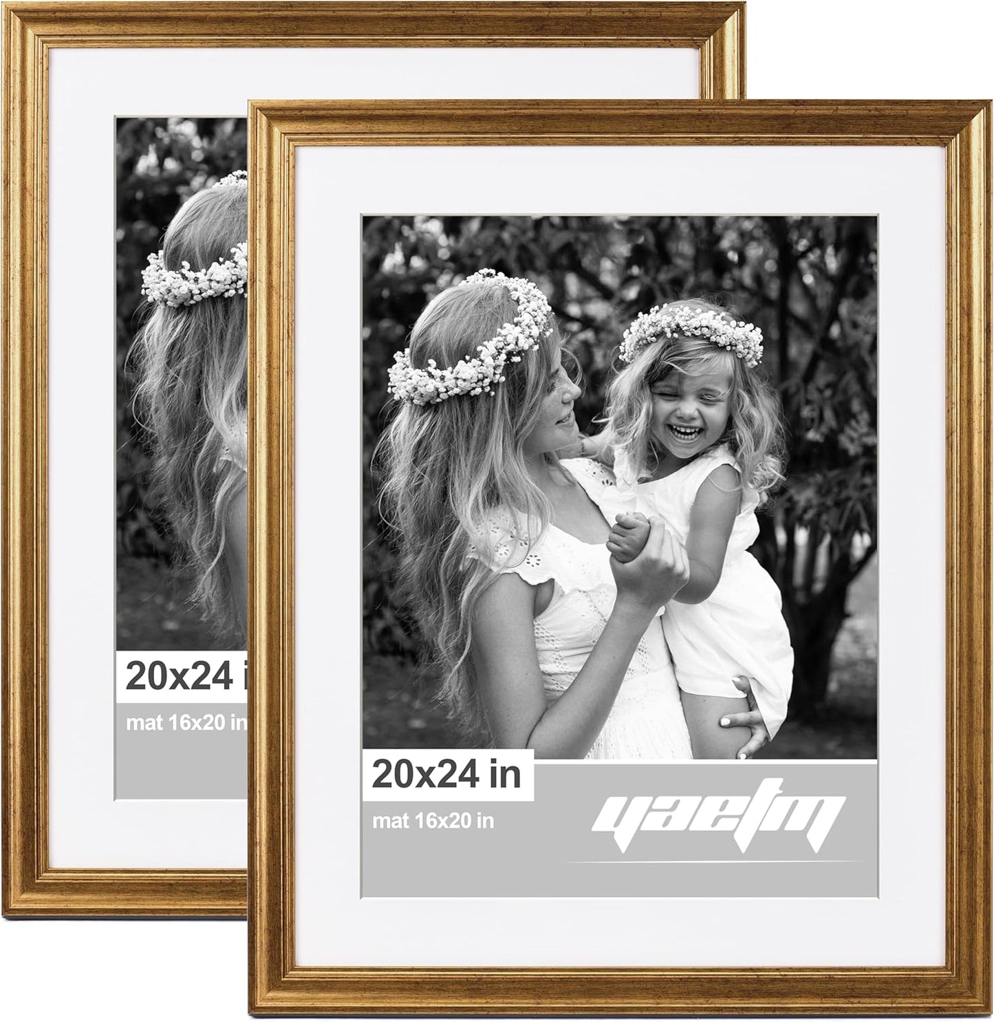 20x24 Gold Picture Frame Set of 2 for Wall Gallery Decor