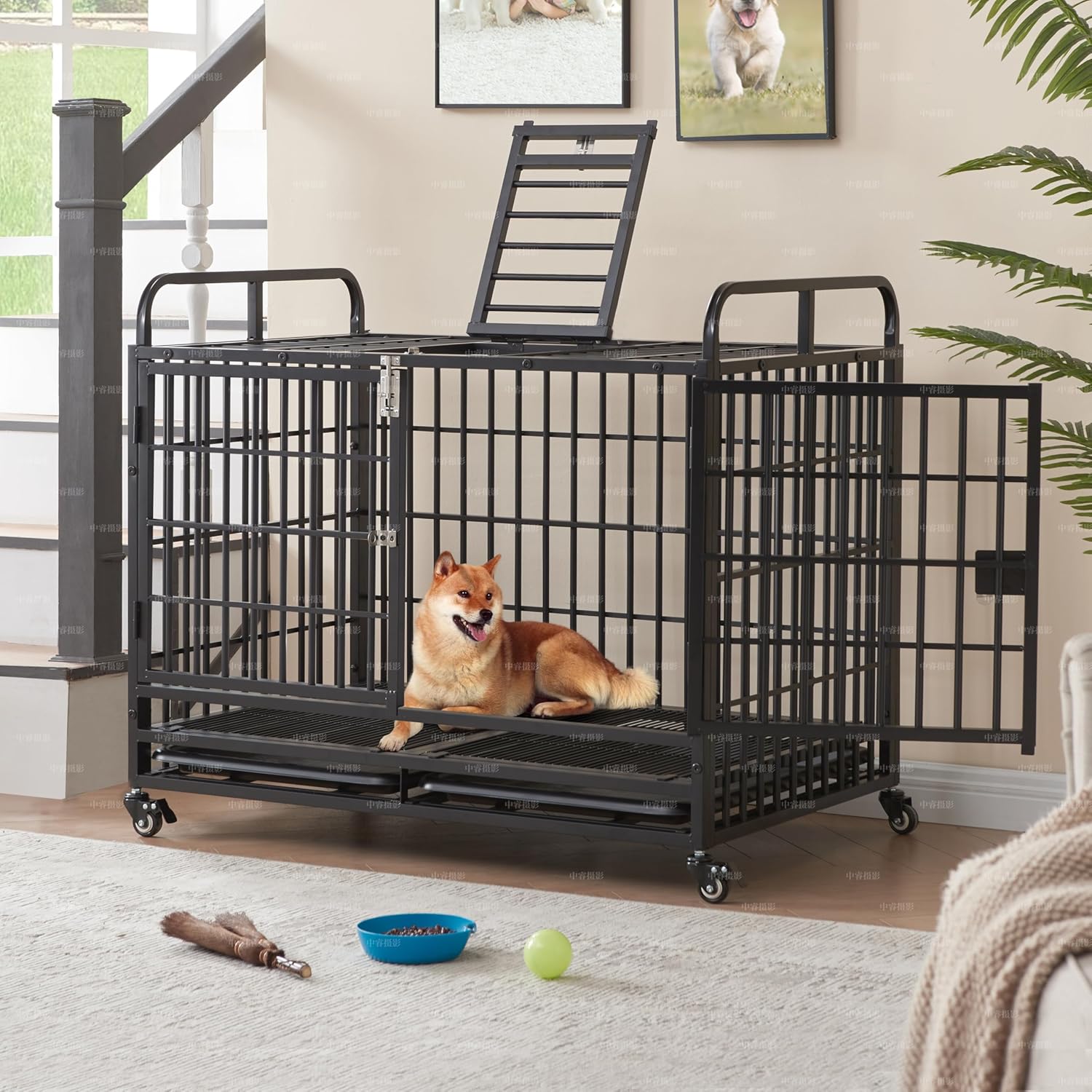 38 Inch Heavy Duty Dog Crate for Medium and Small Dogs