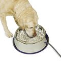 Thermal-Bowl 102 oz Stainless Heated Water Bowl - Outdoor No Freeze